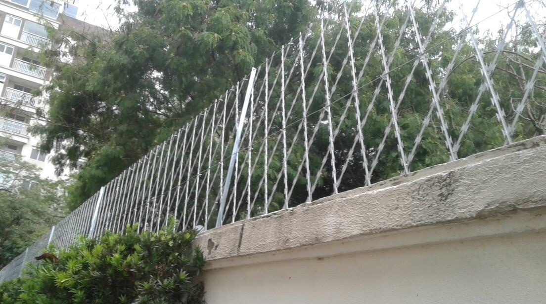 Instalacao De Cerca Concertina No Jardim Prudencia